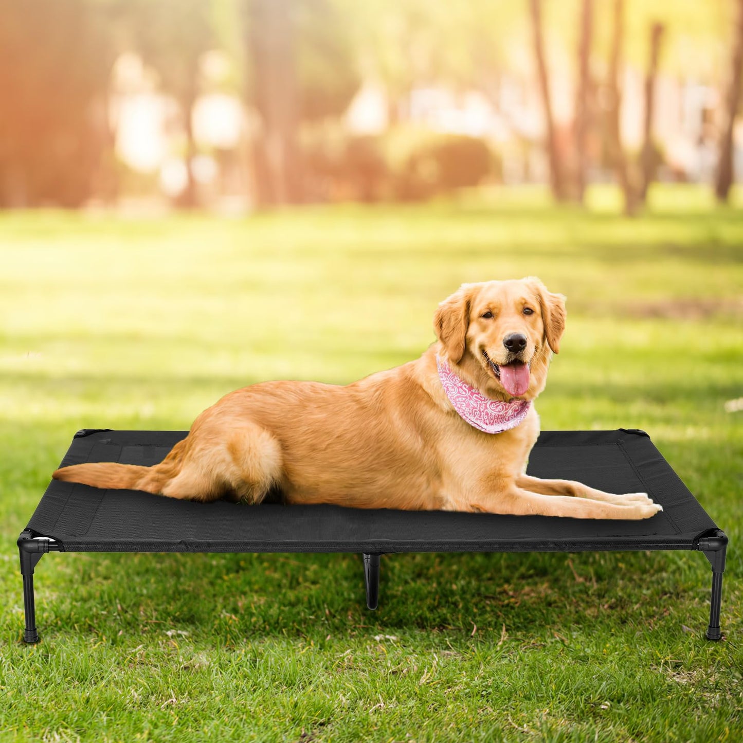 Outdoor Elevated Pet Bed