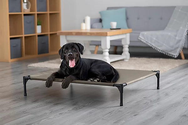 Outdoor Elevated Pet Bed