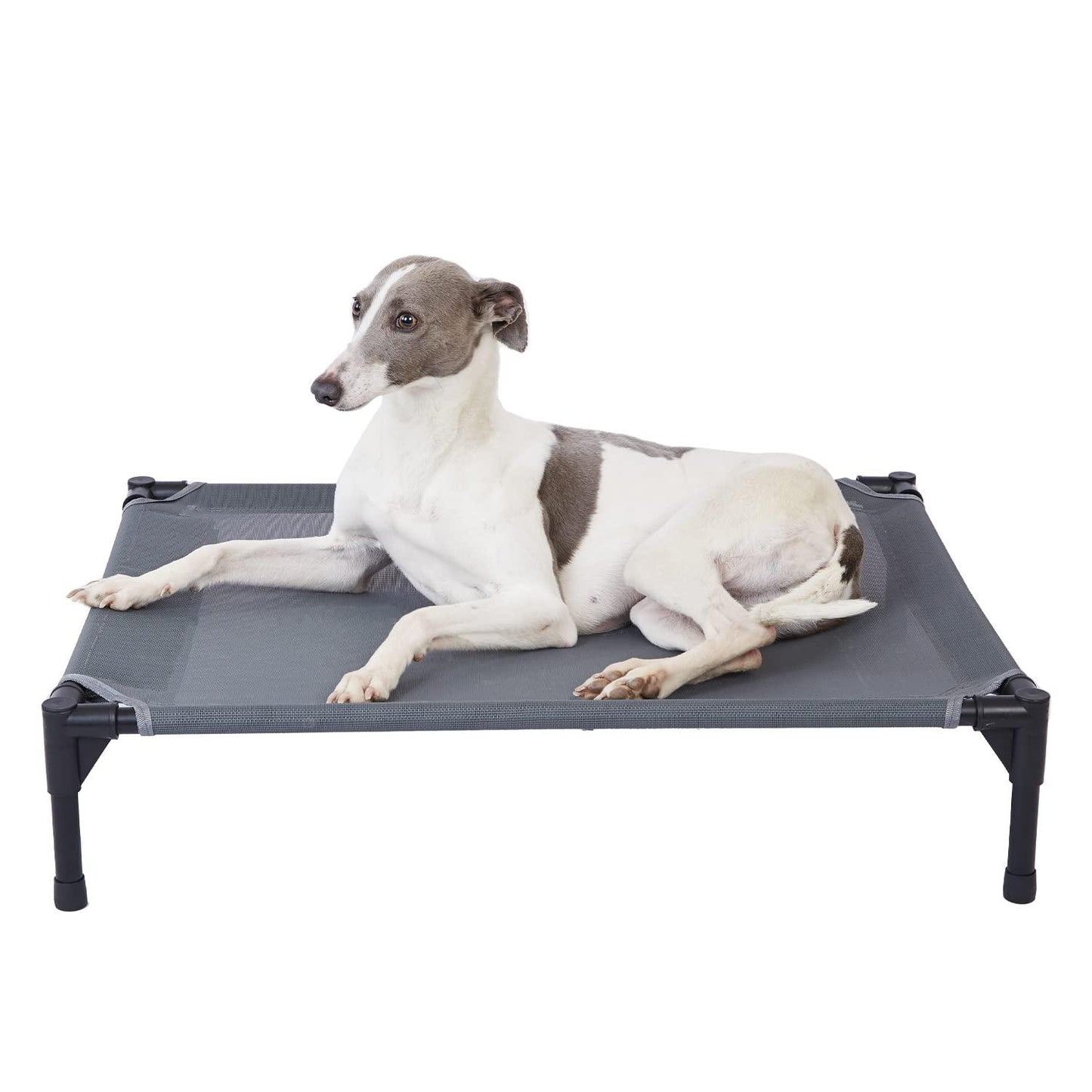 Outdoor Elevated Pet Bed